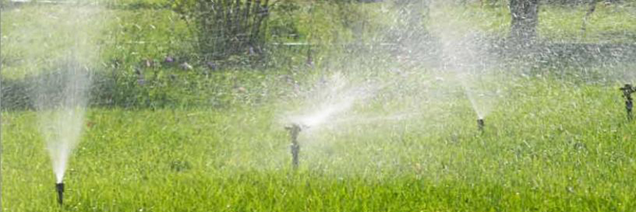 Sprinklers spraying potable water into residential yard
