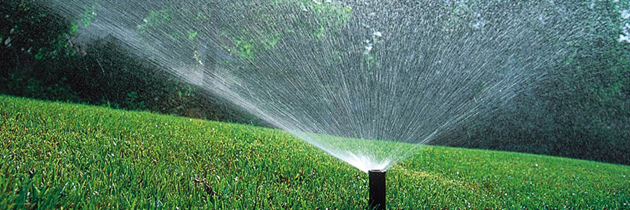 Rainbird spray watering turf grass