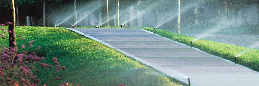 Rainbird Spray heads watering beside sidewalk
