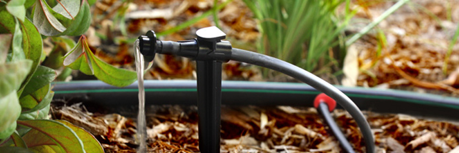 Rainbird Xeri drip irrigation